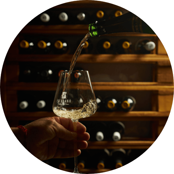 Bollicine Cantina Vini